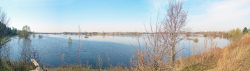 Ryb_02.05.2018-2.jpg