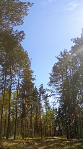 Ryb_04.05.2018-1.jpg