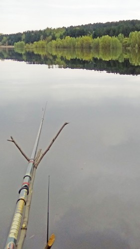 Ryb_06.05.2018-2.jpg
