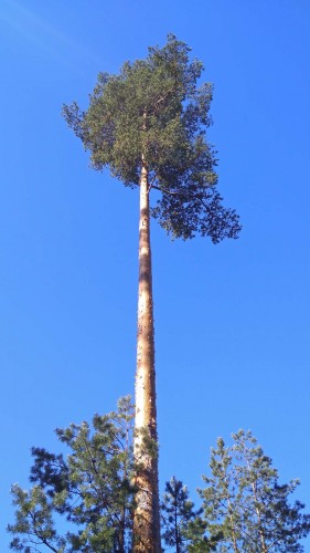 Les_10.05.2018-2.jpg