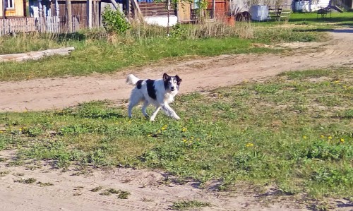 Les_15.05.2018-4.jpg