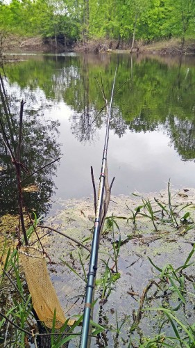 Les_20.05.2018-2.jpg