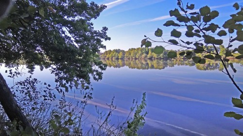 Les_29.05.2018-3.jpg
