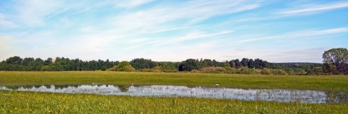 Les_03.06.2018-1.jpg