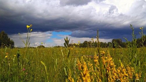 Les_07.06.2018-2.jpg