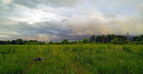 Les_09.06.2018-2.jpg