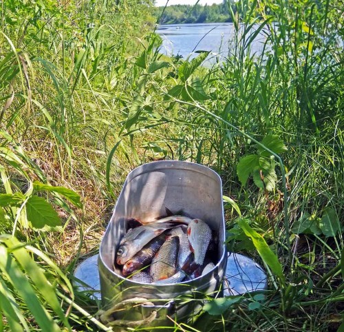Les_28.06.2018-4.jpg