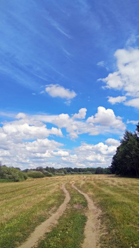 Les_04.07.2018-2.jpg