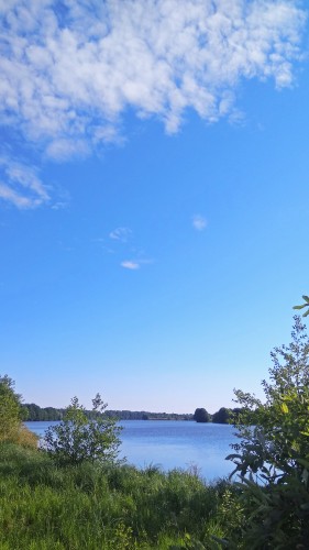 Les_04.07.2018-4.jpg