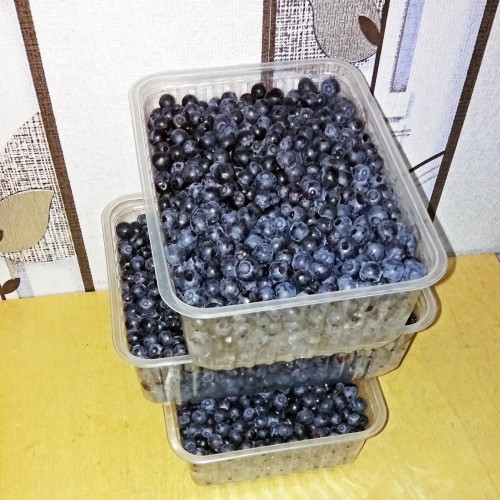 Les_07.07.2018-2.jpg