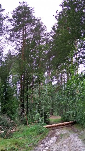 Les_09.07.2018-1.jpg