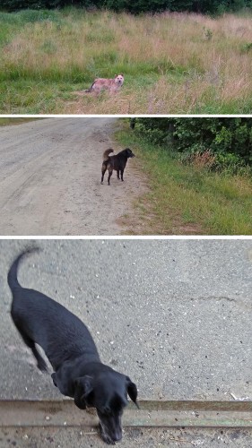 Les_10.07.2018-3.jpg