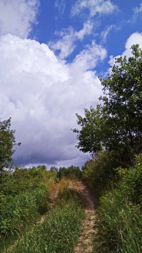 Les_11.07.2018-1.jpg