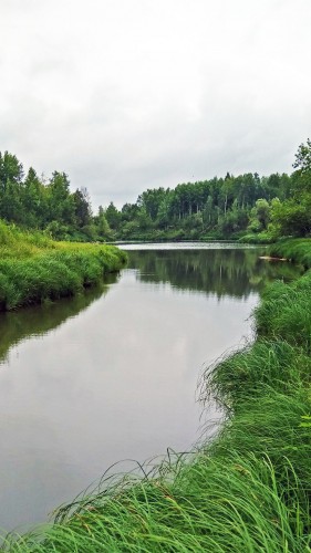 Les_11.07.2018-4.jpg