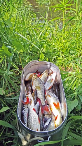 Les_11.07.2018-5.jpg