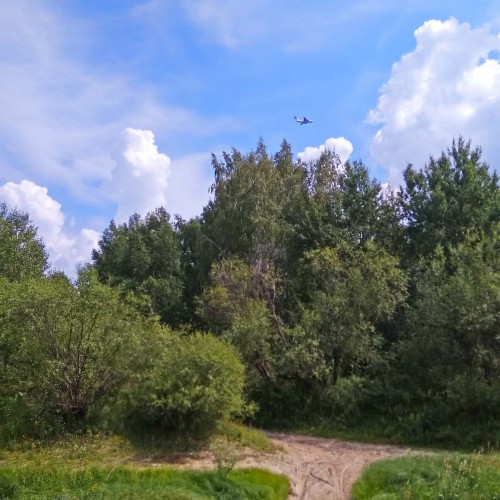 Les_28.07.2018-2.jpg