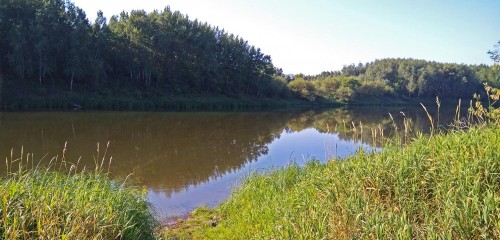 Les_03.08.2018-1.jpg