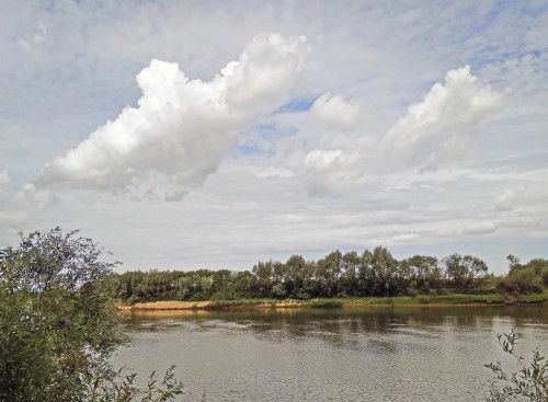 Les_07.08.2018-6.jpg