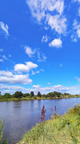 Les_09.08.2018-1.jpg
