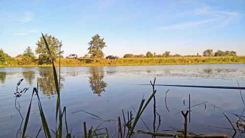 Les_12.08.2018-2.jpg