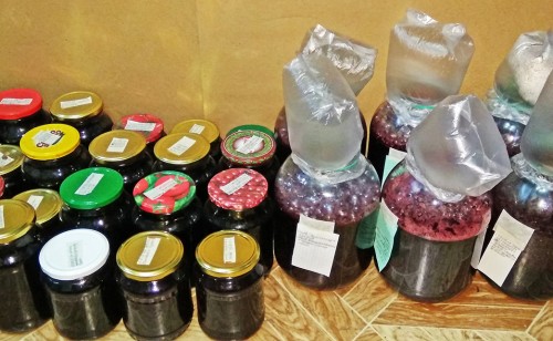 Zhele_Vino-2018.jpg