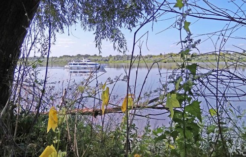 Les_19.08.2018-1.jpg