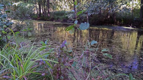 Les_26.08.2018-1.jpg
