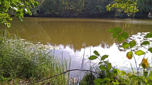 Les_30.08.2018-1.jpg