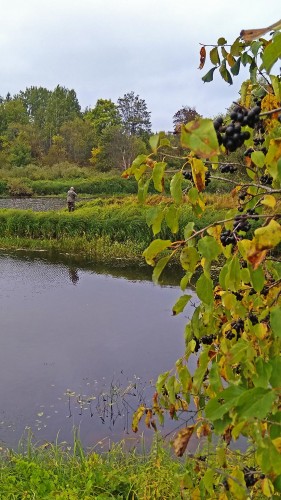 Les_10.09.2018-1.jpg