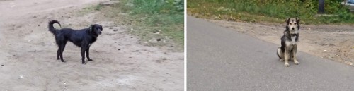 Les_13.09.2018-3.jpg