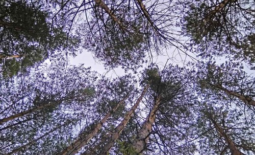 Les_18.09.2018-1.jpg
