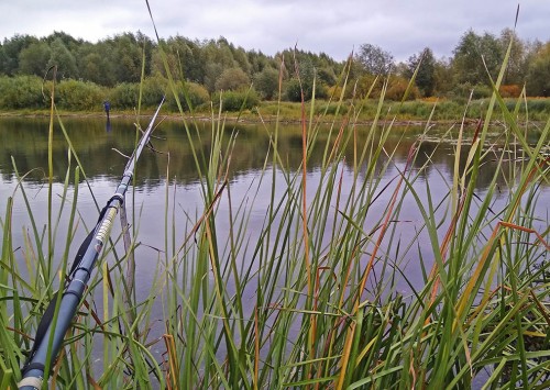 Les_18.09.2018-2.jpg