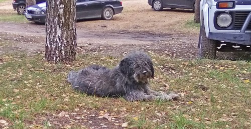 Les_18.09.2018-4.jpg