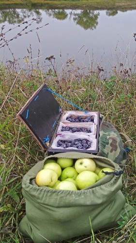 Les_24.09.2018-3.jpg
