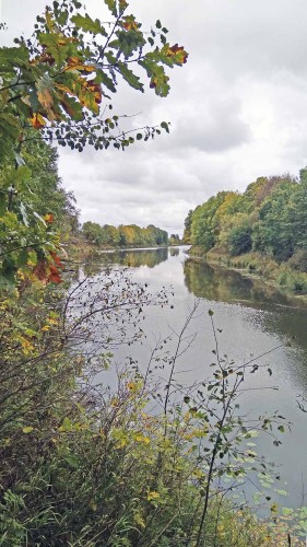 Les_26.09.2018-2.jpg