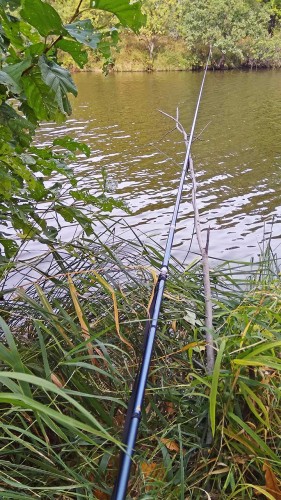 Les_29.09.2018-5.jpg