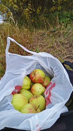 Les_03.10.2018-4.jpg