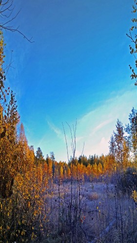 Les_10.10.2018-1.jpg