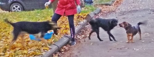 Les_18.10.2018-2.jpg