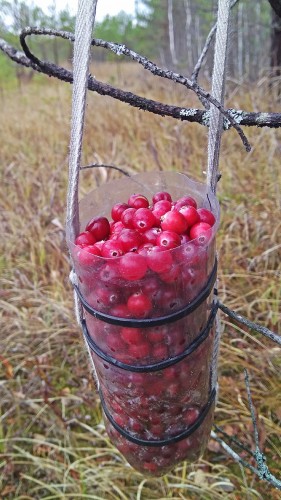 Les_25.10.2018-4.jpg