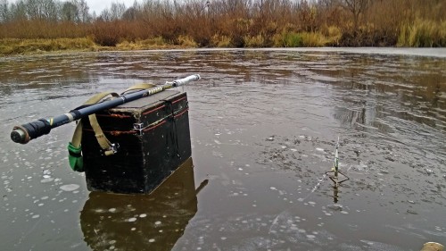 Ryb_01.11.2018-1.jpg