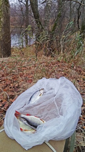 Les_06.11.2018-1.jpg