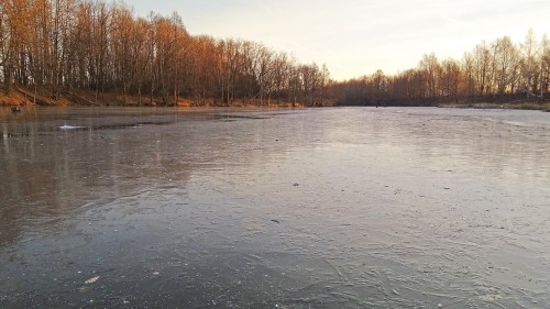 Ryb_14.11.2018-1.jpg