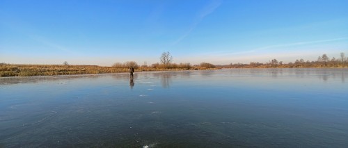 Ryb_16.11.2018-1.jpg