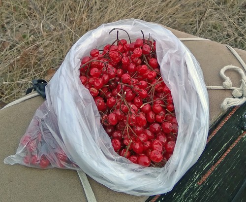 Ryb_16.11.2018-4.jpg
