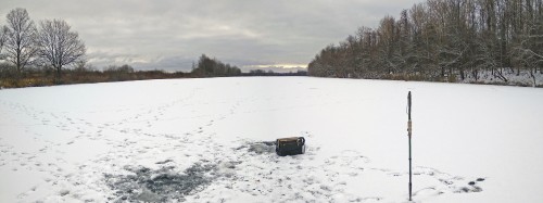 Ryb_21.11.2018-1.jpg