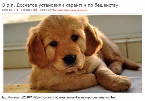 Ryb_29.11.2018-5.jpg