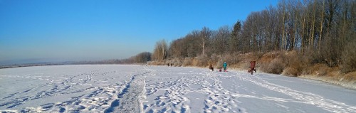 Ryb_01.12.2018-3.jpg