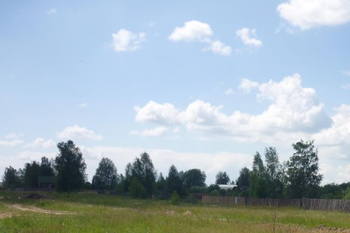 P1010805.JPG