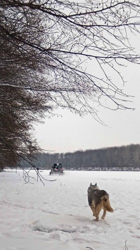 Ryb_08.12.2018-2.jpg